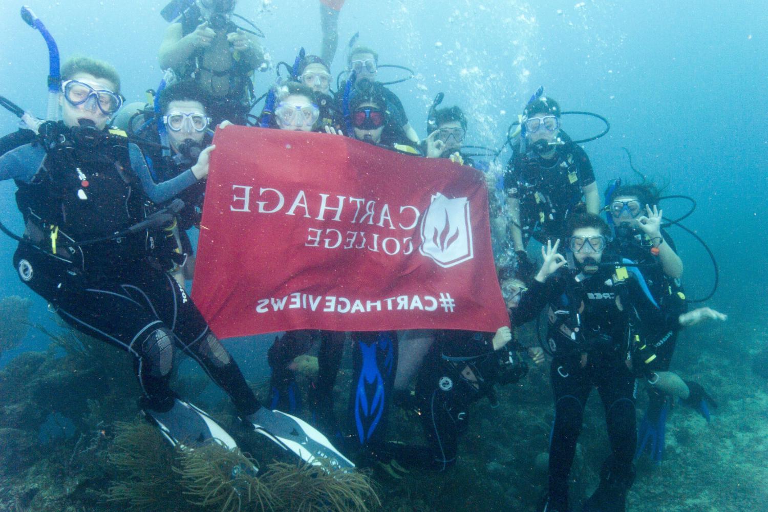 学生们手持<a href='http://clun.ngskmc-eis.net'>博彩网址大全</a>旗帜，在j学期洪都拉斯游学之旅中潜水.